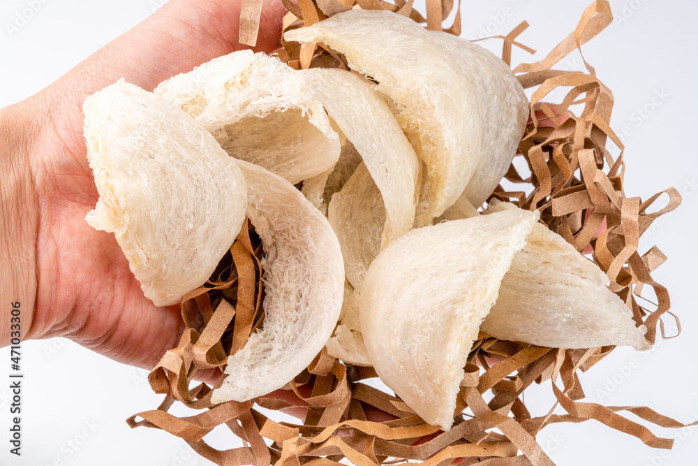 Top Grade edible bird nest shoot on white background with negative