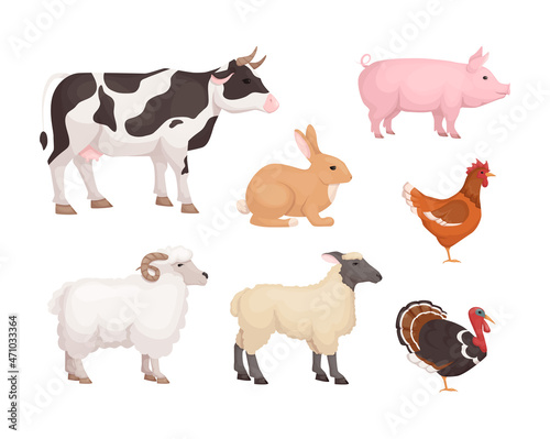 Farm animal colorful set. Domestic livestock cow, pig, rabbit, turkey, chicken, sheep, lamb