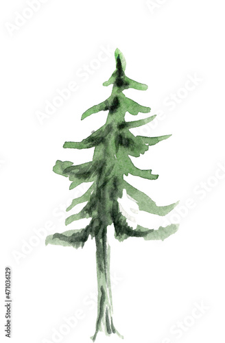 Beautiful  abstract  watercolor image of a Christmas tree  coniferous tree  isolated on a white background
