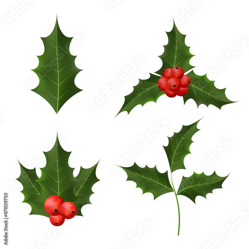 Set of Twig holly with leaves and berries on white background