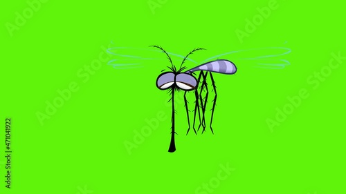 Funny mosquito animation in cartoon style.
Usable for games, preloaders, websites-eyecatcher
or banners for insecticide chemical producers photo