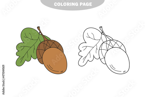 Simple coloring page. Acorn - coloring page, game for children, kids. Color and black and white version