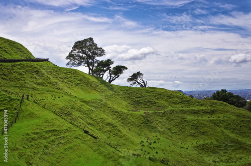 Mount Eden, Auckland, New Zealand. Green meadow and trees on the hill.