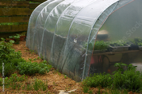 tunel foliowy cieplarnia na wiosnę uprawa warzyw, ziół i kwiatów photo