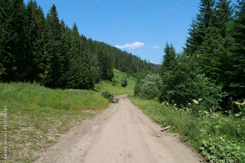 Dirt road in Carpathian Mountains, Ukraine
