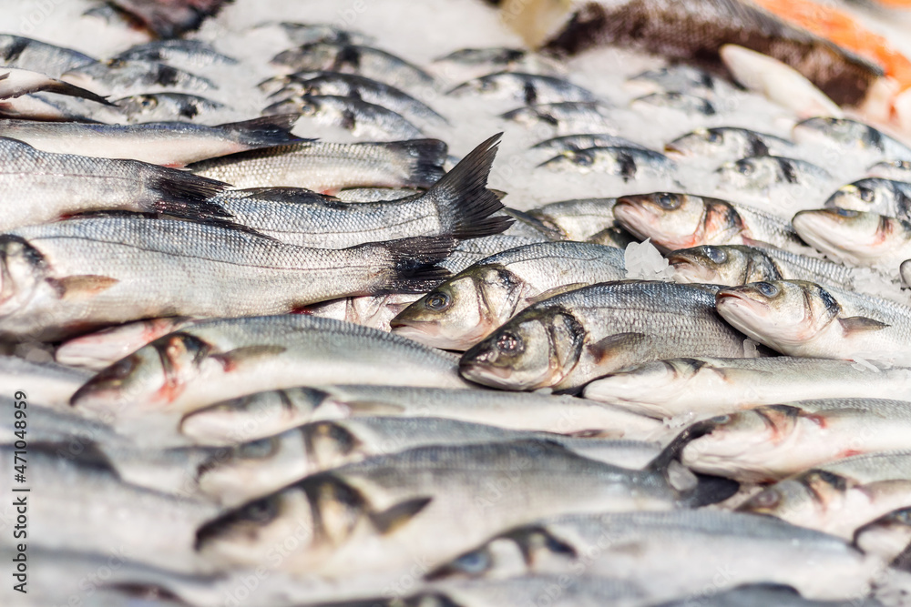 Obraz premium Fresh sea fish in ice on a counter in market