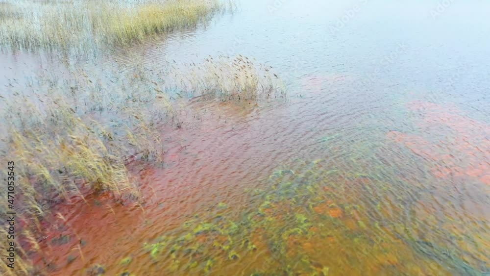 The reservoir is contaminated with chemicals and heavy metals. Drone view. Multicolored water. The reservoir is contaminated with chemicals and heavy metals. Drone view. Multicolored water.