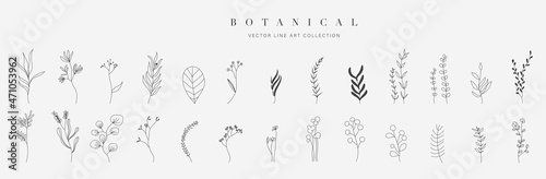 Botanical arts Fototapet