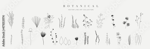 Botanical arts. Hand drawn continuous line drawing of herbs, abstract flower, floral, ginkgo, rose, tulip, bouquet of olives. Vector illustration.