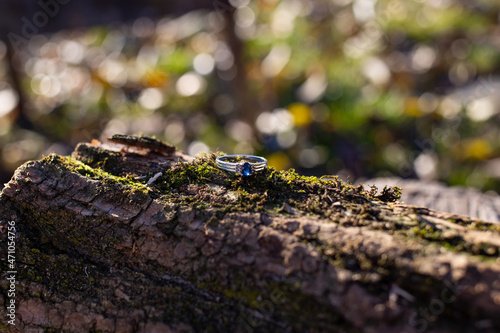 Beautiful wedding ring with white gold and a large blue stone on a tree with green moss