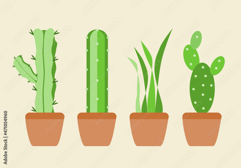 Ornamental house plant green set collections cactus in pot flat vector design. Ornamental house plant green set collections cactus in pot flat vector design.