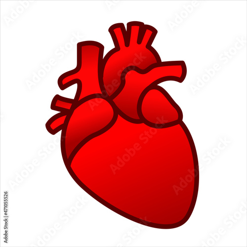 Human heart vector illustration logo icon clipart