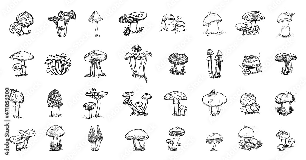 Collection of monochrome illustrations of mushroom in sketch style. Hand drawings in art ink style. Black and white graphics.