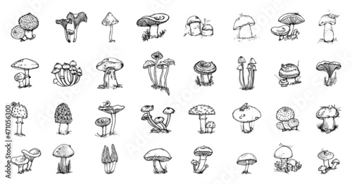 Collection of monochrome illustrations of mushroom in sketch style. Hand drawings in art ink style. Black and white graphics. © Malika