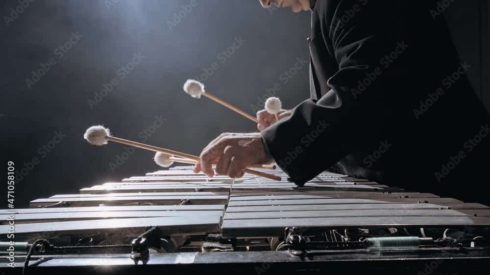 Man musician playing metallophone
