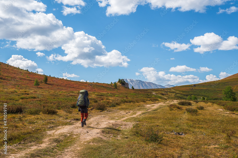 Solo hiking in the picturesque autumn mountains. Heavy climb in the mountains with a backpack. Travel lifestyle, hiking hard track, adventure concept in autumn vacation.