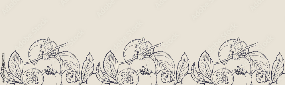Obraz premium Vector horizontal seamless border with hand darwn persimmon. Eps 10. Line-art botanical illustration. Fruits backdrop