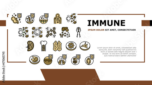 Immune System Disease And Treat Landing Web Page Header Banner Template Vector. Thymus Of Immune And Antibodies, Active And Passive Immunity, Autoimmunity And Macrophage Blood Cell Illustration