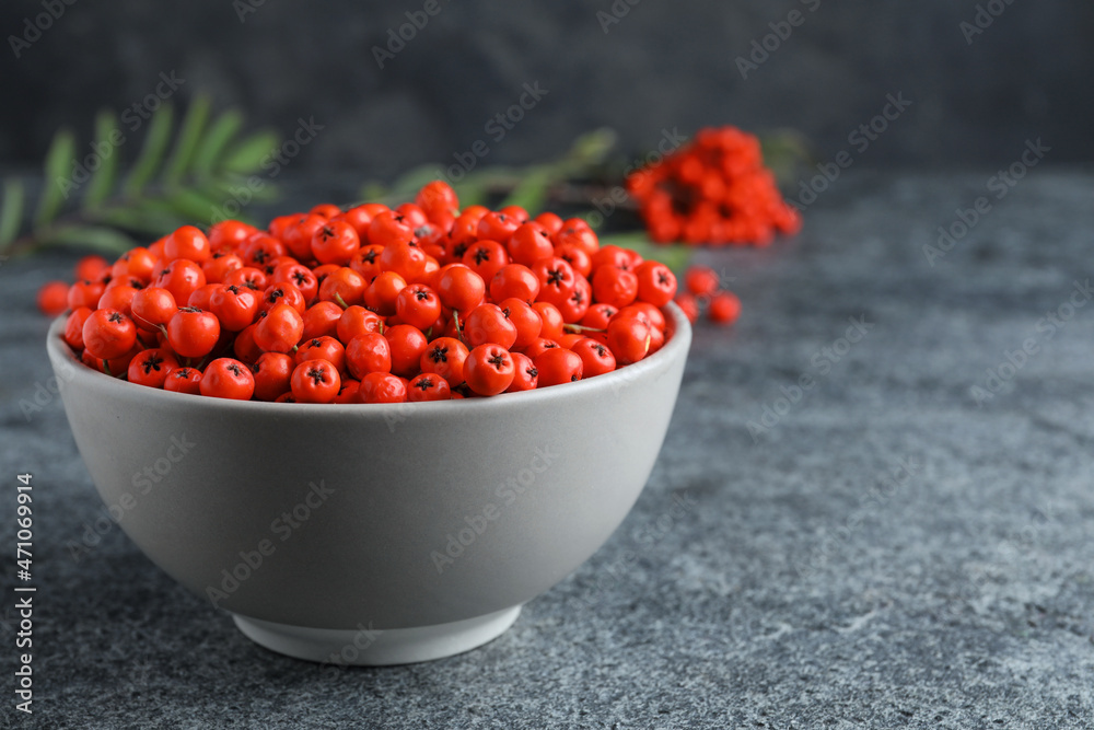 Fresh ripe rowan berries in bowl on grey table, space for text Fresh ripe rowan berries in bowl on grey table, space for text