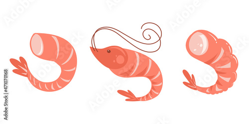 Shrimps hand drawn cartoon flat isolated on white background Vector illustration.