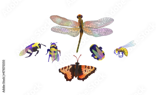 Insect illustration, drawing, engraving, ink, line art, vector