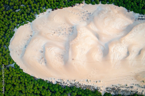 Aerial view of sand dune surrounded by forest in Bolonia, Andalusia, Spain. photo