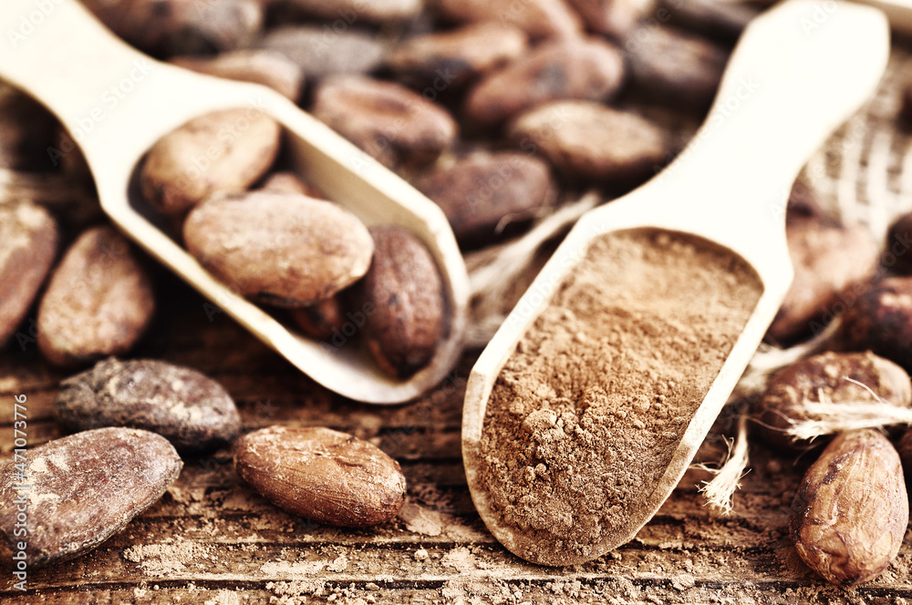 Cocoa powder in spoon on brown cocoa beans background, toned, selective focus, shallow DOF Cocoa powder in spoon on brown cocoa beans background, toned, selective focus, shallow DOF