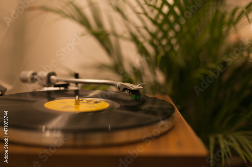 Vintage vinyl records player at home with a green plant