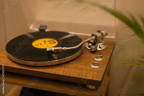 Vintage vinyl records player at home with a green plant