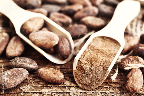 Cocoa powder in spoon on brown cocoa beans background, toned, selective focus, shallow DOF © ulada
