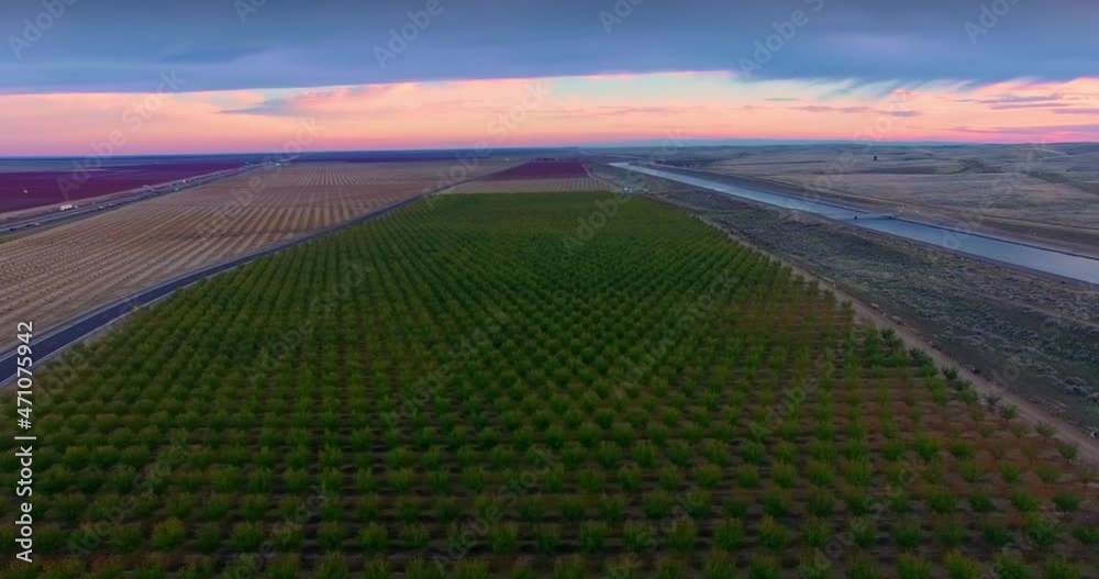 Aerial of Farming Almond pistachio trees Crops Field Vegetation Agricultural