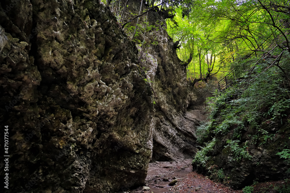 Fototapeta premium Chechen scenery. Nihaloy gorge. Russia