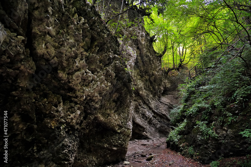 Chechen scenery. Nihaloy gorge. Russia