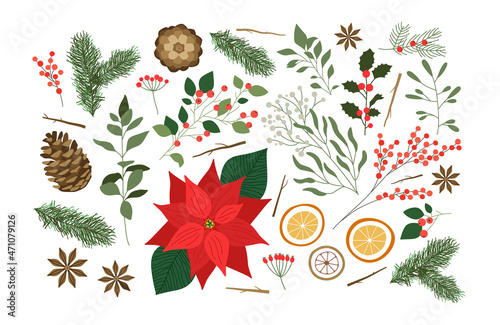 Christmas winter nature plant leaf element set