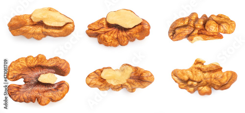 Walnut Isolated. Walnut kernel Nut  on white background. Pattern. Top view. Flat lay.