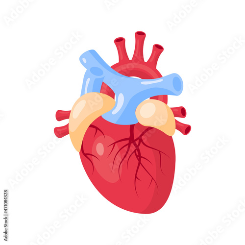Heart medical concept in cartoon style, vector