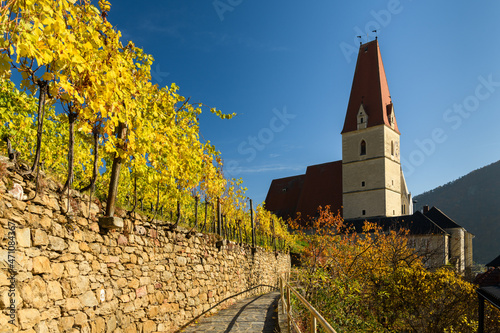 Weissenkirchen Wachau Austria in autumn colored leaves and vineyard photo