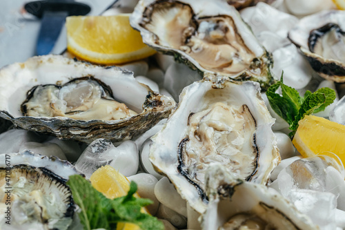 Fresh oysters platter with sauce and lemon. Oyster dinner with champagne in restaurant. Food recipe background. Close up