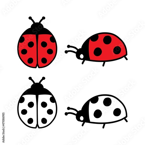 Ladybug hand drawn doodle set. Isolated vector illustration for coloring books