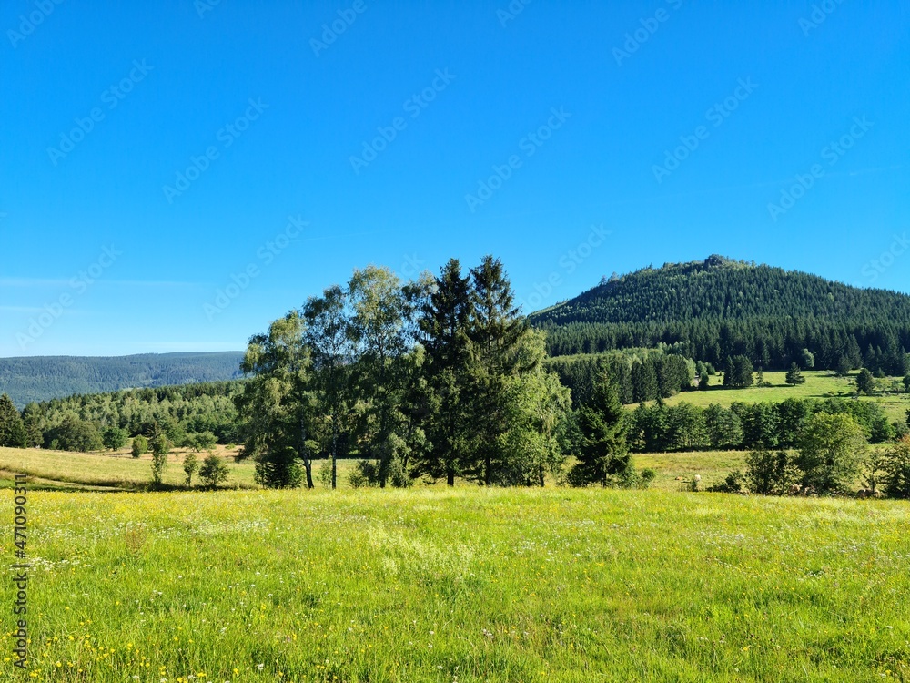 Fototapeta premium landscape with mountains