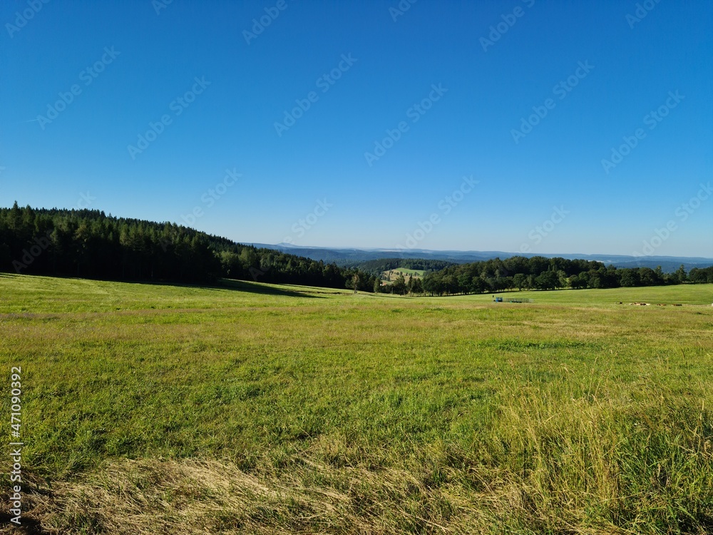 field and blue sky