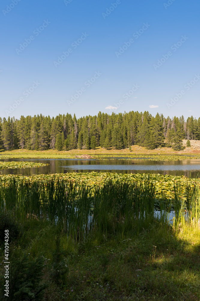 panorama of swan lake in teton national park in Wyoming