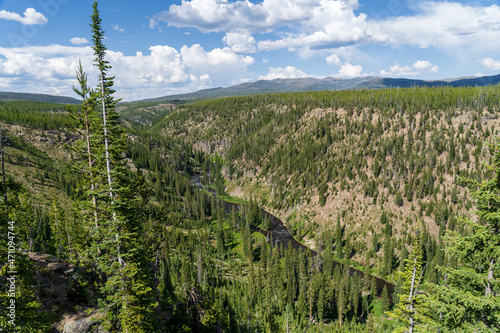 The Lewis River runs through the Lewis River Canyon in Yellowstone National Park in Wyoming on a summer afternnon photo