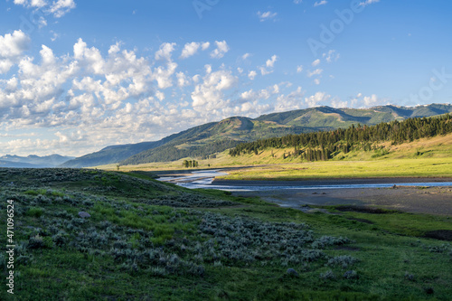 The Lamar River flows through the Lamar Valley of Yellowstone National Park in Wyoming, Montana on a sunny summer morning, with mountains, prairie, sagebrush, and trees