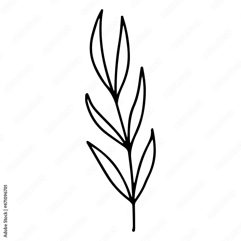 Fototapeta premium Flower Line Art