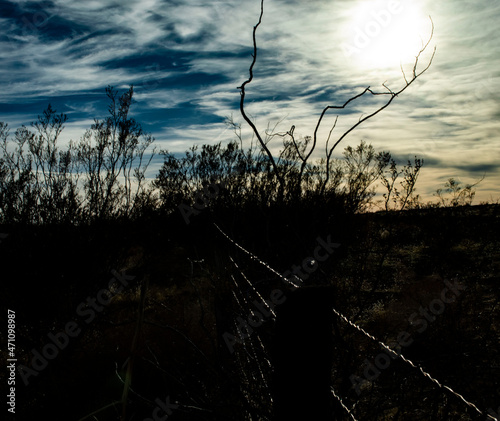 Fence at sunset