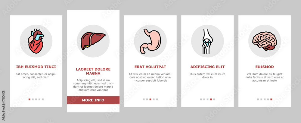 Human Internal Organ Anatomy Onboarding Mobile App Page Screen Vector. Stomach And Liver, Heart And Lung, Intestine And Gland, Muscle And Skin People Organ. Healthcare And Medicine Illustrations