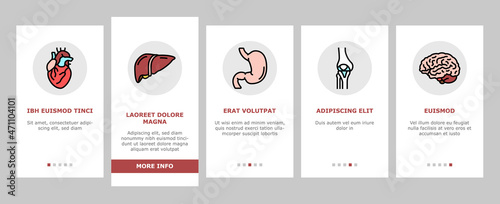 Human Internal Organ Anatomy Onboarding Mobile App Page Screen Vector. Stomach And Liver, Heart And Lung, Intestine And Gland, Muscle And Skin People Organ. Healthcare And Medicine Illustrations © vectorwin