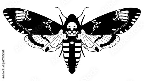 Acherontia atropos butterfly black and white