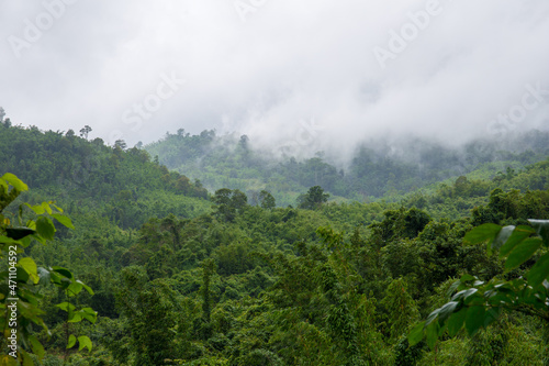Aerial view of morning mist at tropical rainforest mountain 